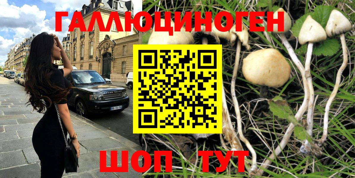 Псилоцибиновые грибы Psilocybe Воркута